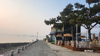 이수봉님의 설날, 어떻게 보내시나요? · 참여글 작성글 사진