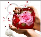 팜모닝 설날, 어떻게 보내시나요?·참여글 게시글 이미지