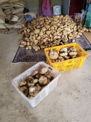 사리실님의 설날, 어떻게 보내시나요? · 참여글 작성글 사진