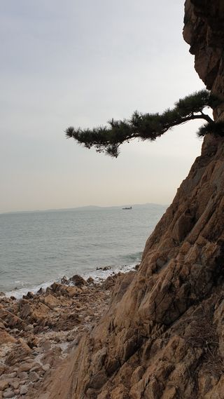 이경영 님의 설날, 어떻게 보내시나요? · 참여글 작성글 사진