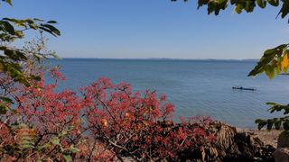 이경영 님의 설날, 어떻게 보내시나요? · 참여글 작성글 사진