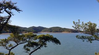 이경영 님의 설날, 어떻게 보내시나요? · 참여글 작성글 사진