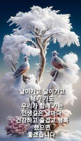 서평택서진님의 설날, 어떻게 보내시나요?·참여글 작성글 사진