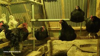 서평택서진님의 설날, 어떻게 보내시나요? · 참여글 작성글 사진