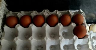 서평택서진님의 설날, 어떻게 보내시나요? · 참여글 작성글 사진