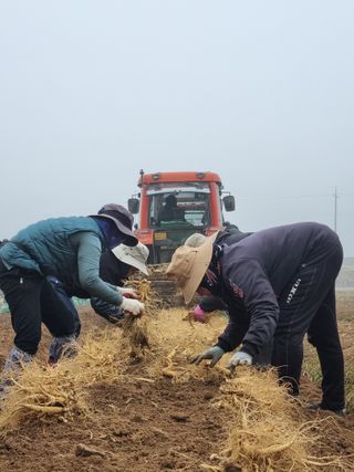 모두팜님의 작성글 사진