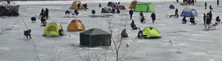 김장수님의 설날, 어떻게 보내시나요? · 참여글 작성글 사진