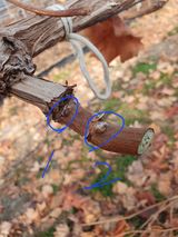 팜모닝 농사, 무엇이든 물어보세요!·참여글 게시글 이미지