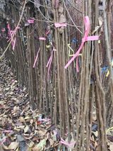 팜모닝 · 게시글 이미지