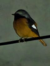 팜모닝 설날, 어떻게 보내시나요?·참여글 게시글 이미지