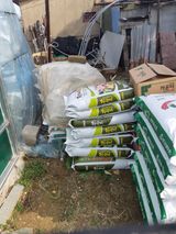 팜모닝 설날, 어떻게 보내시나요?·참여글 게시글 이미지