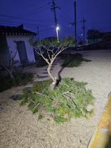 처마밑에추녀님의 설날, 어떻게 보내시나요?·참여글 작성글 사진