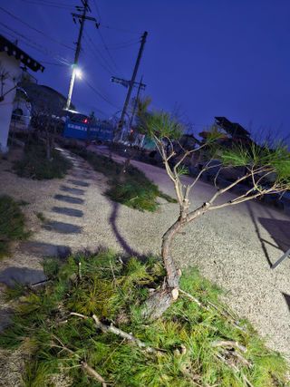 처마밑에추녀님의 설날, 어떻게 보내시나요? · 참여글 작성글 사진