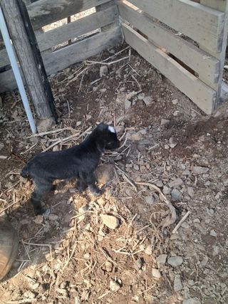 전희분님의 설날, 어떻게 보내시나요? · 참여글 작성글 사진