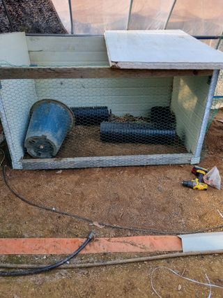 풍요님의 사과 · 일상 작성글 사진