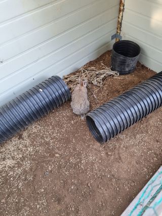 풍요님의 사과 · 일상 작성글 사진