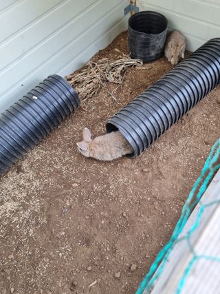 풍요님의 사과 · 일상 작성글 사진