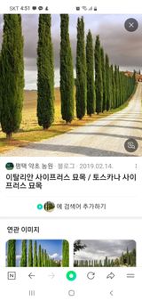 팜모닝 · 게시글 이미지