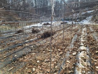 착한여자님의 기타작물 · 자유게시판 작성글 사진