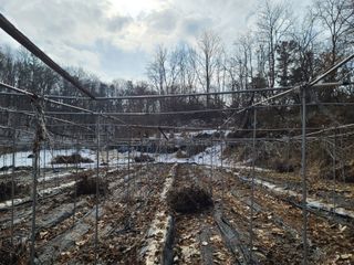 착한여자님의 기타작물 · 자유게시판 작성글 사진