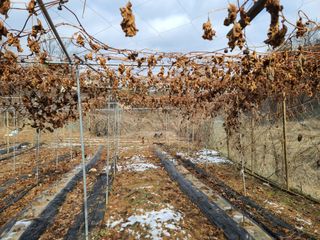 착한여자님의 기타작물 · 자유게시판 작성글 사진