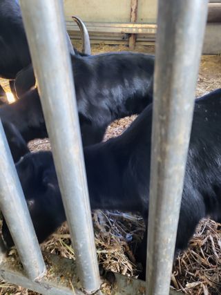 이오성님의 설날, 어떻게 보내시나요? · 참여글 작성글 사진