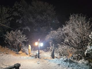 자두19167님의 설날, 어떻게 보내시나요? · 참여글 작성글 사진