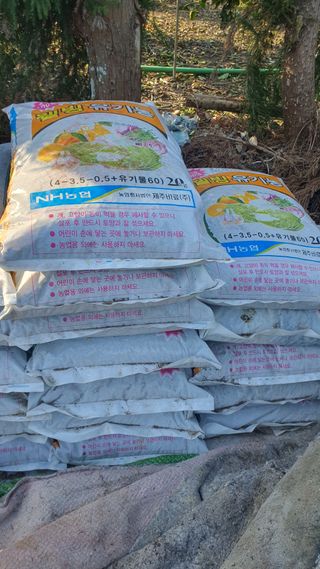 김봉국님의 설날, 어떻게 보내시나요? · 참여글 작성글 사진