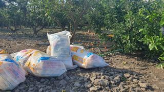 김봉국님의 설날, 어떻게 보내시나요? · 참여글 작성글 사진