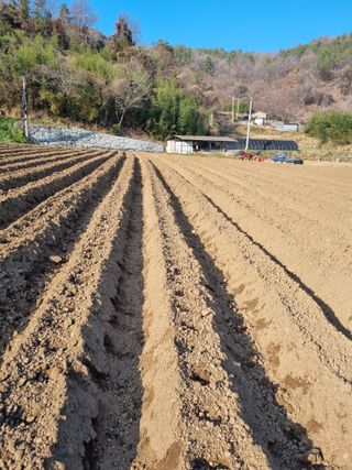 토마토080이인숙님의 설날, 어떻게 보내시나요? · 참여글 작성글 사진