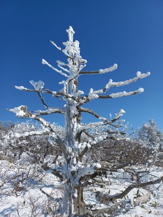 한태훈님의 설날, 어떻게 보내시나요? · 참여글 작성글 사진