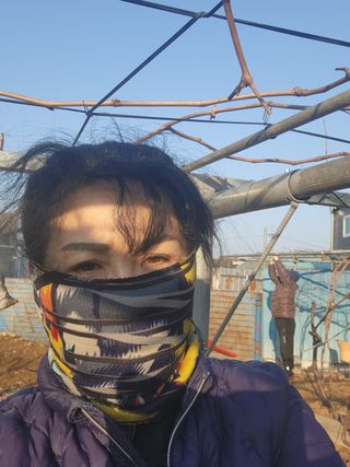 김보물님의 설날, 어떻게 보내시나요? · 참여글 작성글 사진