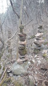 팜모닝 자유주제·자유게시판 게시글 이미지