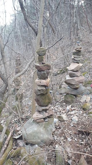 세미골곶감님의 자유주제 · 자유게시판 작성글 사진