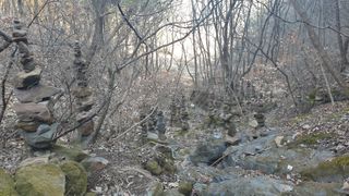 세미골곶감님의 자유주제 · 자유게시판 작성글 사진