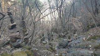 세미골곶감님의 자유주제 · 자유게시판 작성글 사진