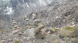 세미골곶감님의 자유주제 · 자유게시판 작성글 사진