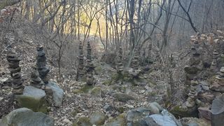 세미골곶감님의 자유주제 · 자유게시판 작성글 사진