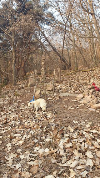 세미골곶감님의 자유주제 · 자유게시판 작성글 사진