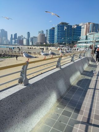 초보텃밭사랑님의 설날, 어떻게 보내시나요? · 참여글 작성글 사진