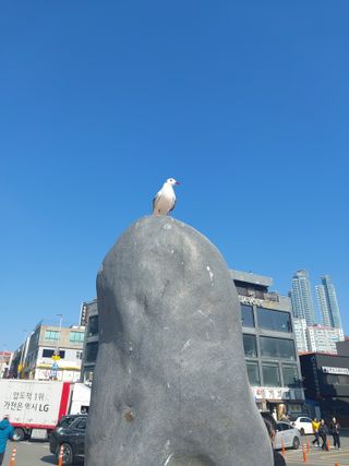 초보텃밭사랑님의 설날, 어떻게 보내시나요? · 참여글 작성글 사진