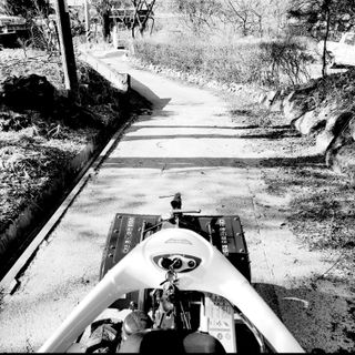 강원특별자치도농민님의 자유주제 · 자유게시판 작성글 사진