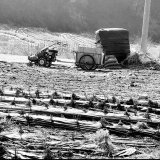강원특별자치도농민님의 자유주제 · 자유게시판 작성글 사진