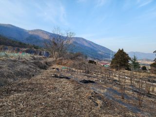 봉화랜드님의 기타작물 · 자유게시판 작성글 사진