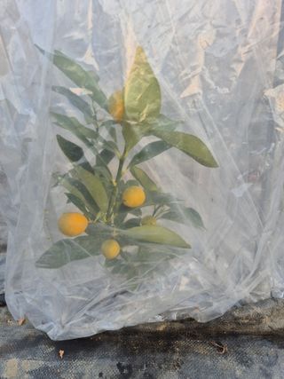 가인 5362님의 기타작물 · 자유게시판 작성글 사진