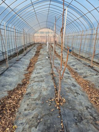 가인 5362님의 기타작물 · 자유게시판 작성글 사진