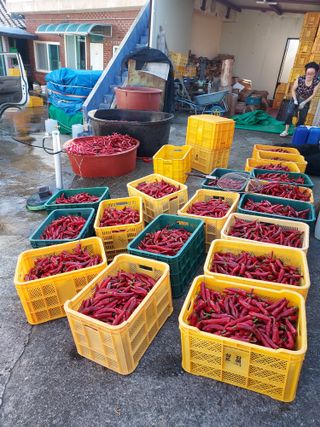 이청우님의 함께 일하는 동료는 몇명인가요? · 참여글 작성글 사진