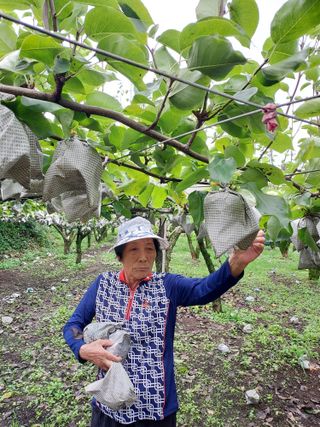 이청우님의 함께 일하는 동료는 몇명인가요? · 참여글 작성글 사진