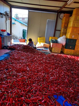 이청우님의 함께 일하는 동료는 몇명인가요? · 참여글 작성글 사진