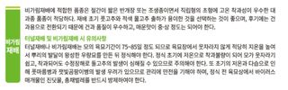 대산농사대장님의 고추 · 일상 작성글 사진